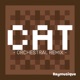 Cat From Minecraft Orchestral Remix Single