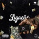 Ligação Single