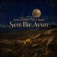 Sen Bir Aysın Single