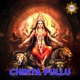 Chinta Pullu Single