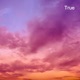 True Slowed and Sped Up Single