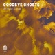Goodbye Ghosts Single
