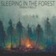 Sleeping In The Forest Remix Single