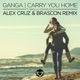 Carry You Home feat Alex Cruz Brascon Nikolaj Grandjean Alex Cruz Brascon Remix Single