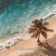 Summer Breeze Extended Single
