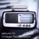 Vintage Radio Station Single