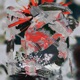 Creature Remixes feat Jan Loup Circular Square Yotah