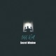 Secret Window Single