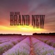 Brand New feat Tru Barz Single