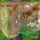 Pre Rolls enzu Bean feat Hotboyteck Single