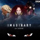 Imaginary Single