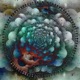 Layered Soul Single