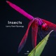 Insects Single