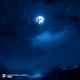 Kiss The Night Goodbye Single