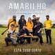 Está Tudo Certo feat Bloco do Caos Single