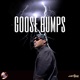 Goose Bumps ReMASTERED 2023 Single