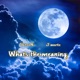 What s the Meaning feat J Mertz Single