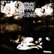 PALE LIGHT feat Cave Castle Single