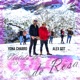 Vestida de Color de Rosa Single