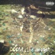 MF DOOM feat ikilledgenji Single