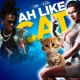 Ah Like Cat Single