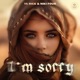 I m Sorry Single