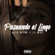 Paseando el Lingo Single
