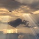 Ethereal Bloom Single