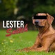 Lester the Ridge Back Snitch Single