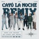 Cayó La Noche feat Cruz Cafuné Abhir Hathi Bejo EL IMA Remix Single