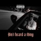 Aint Heard a Thing Single