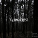 falling forest feat k3lyt0m Single