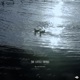 The Little Things Single