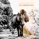 Silly Working Mule feat MisSara Fedele Single