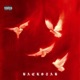 BackStab Single