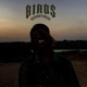 Birds Single