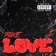Fake Love feat Phlocabulary Single