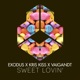 Sweet Lovin Single