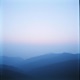 Frost and Fern Ambient Sleep Single