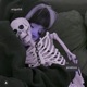 Shinigami Single