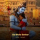 Oo Bhole Sankar Single