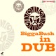 Biggabush In Dub