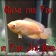 Oscar the Fish Single