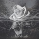 Not to Die feat Double G EH Single