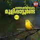 Manjakkiliyude Moolipattunde Vol 3