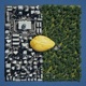SEED Vol 1