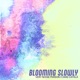blooming slowly Single