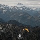 Fallout Single