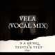VELA Vocal Mix feat Teesta a Teey Single