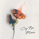 Cry No More feat Jav Single